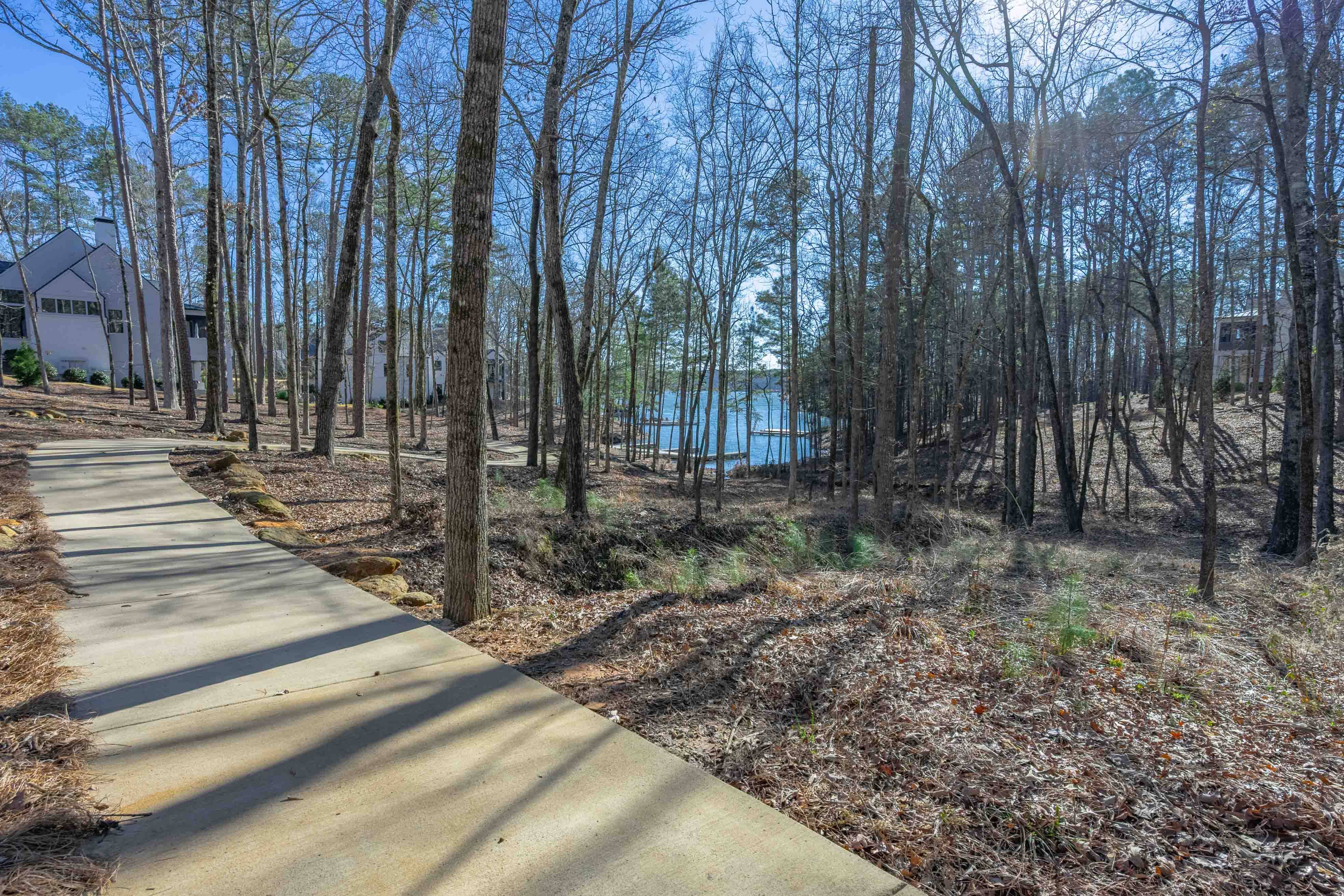 1261 Jumping Rock Drive image 11